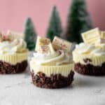 Peppermint Bark Mini Cheesecakes Recipe