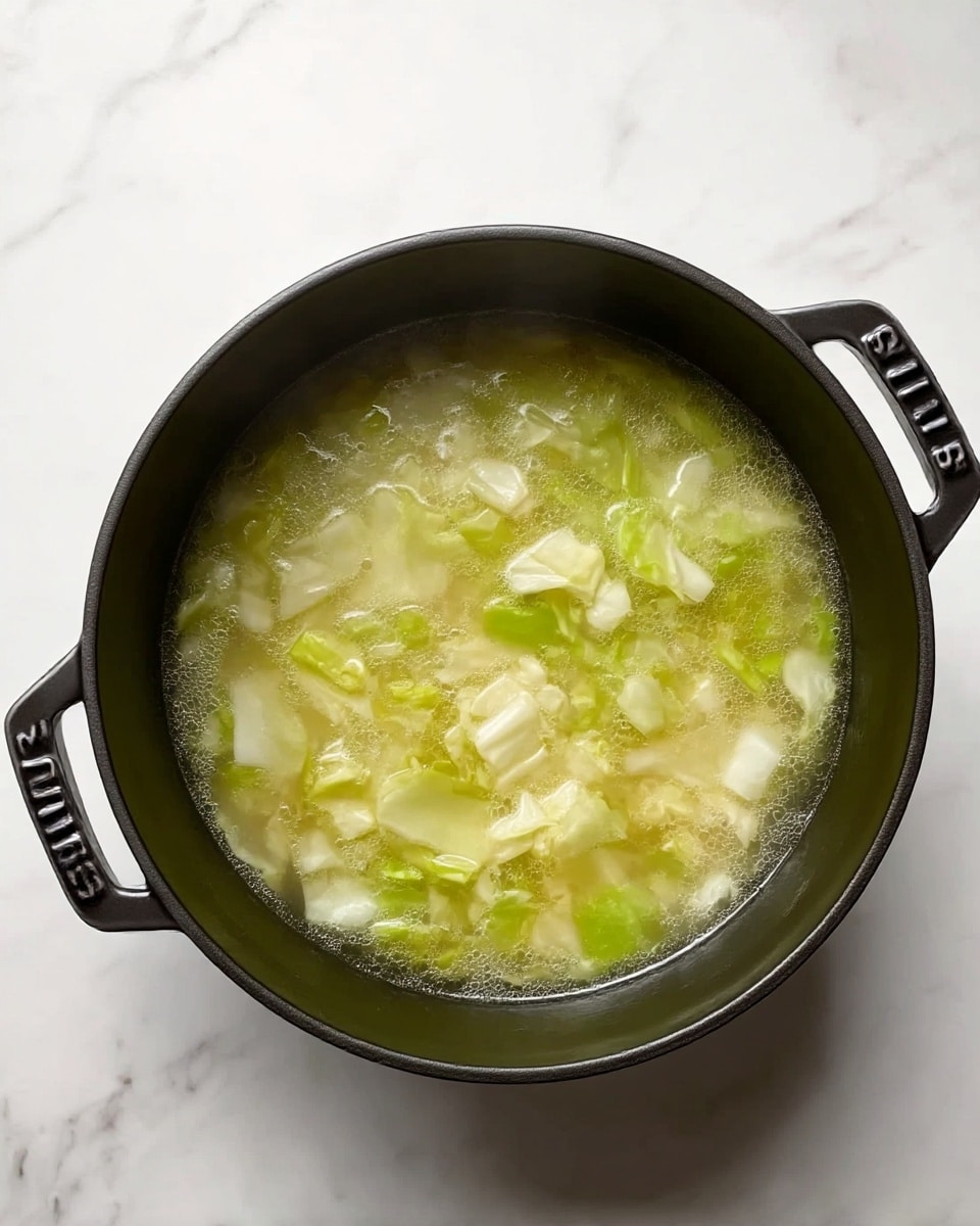 A black round pot filled with clear soup containing light green and white chopped cabbage pieces floating inside, with tiny bubbles and steam rising gently, sitting on a white marbled surface. The pot has two handles on opposite sides labeled STAUB, and the broth looks warm and lightly seasoned with visible small specks of seasoning. photo taken with an iphone --ar 4:5 --v 7