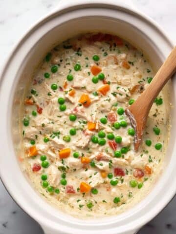 Slow Cooker Chicken and Rice with Vegetables and Parmesan Recipe