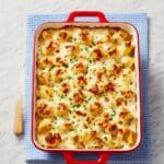 Chicken Alfredo Stuffed Shells Recipe