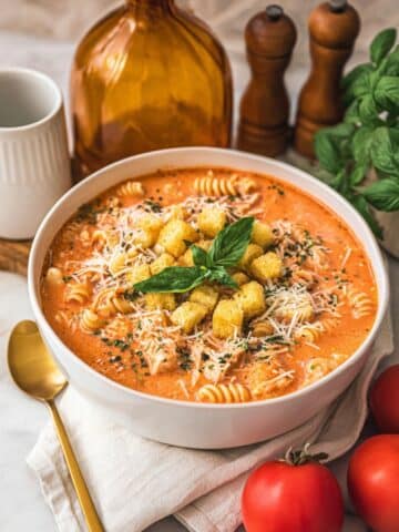 Crockpot Chicken Parmesan Soup Recipe