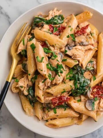 Crock Pot Creamy Chicken Pasta Recipe
