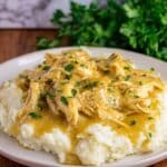 Crock Pot Chicken and Gravy Recipe