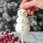 Easy Snowman Cake Pops (Adorable Christmas Recipe) Recipe