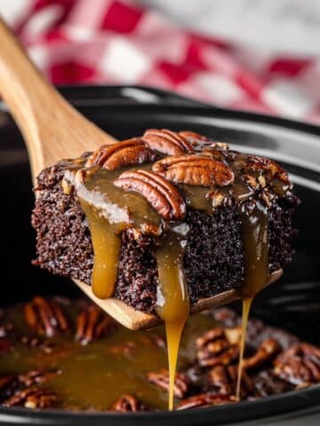 Slow Cooker Turtle Cake Recipe