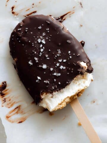 Easy Chocolate-Coated Peanut Butter Frozen Yogurt Bars Recipe