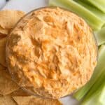 Slow Cooker Buffalo Chicken Dip Recipe
