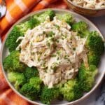 Four Ingredient Slow Cooker Chicken & Stuffing Recipe