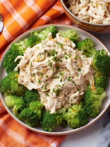 Four Ingredient Slow Cooker Chicken & Stuffing Recipe