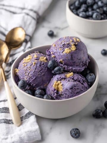 Blueberry Ice Cream Recipe