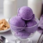 Ube Coconut Milk Dairy-Free Ice Cream Recipe