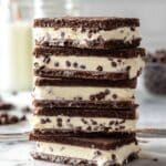 Homemade Chocolate Chip Ice Cream Sandwiches Recipe