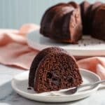 Too Much Chocolate Cake Recipe
