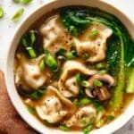 Potsticker Soup Recipe